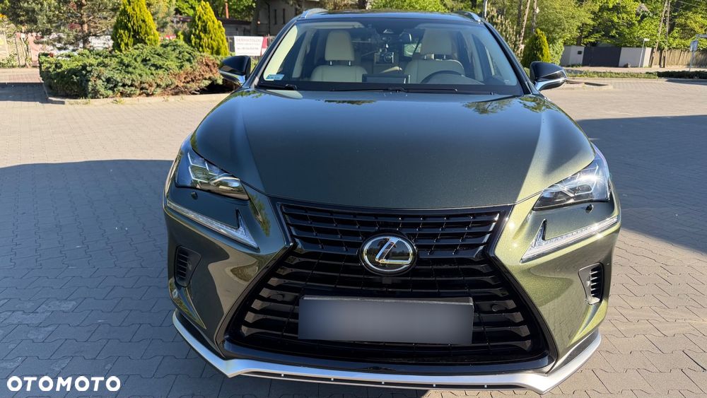 Lexus NX 300 GPF Elegance AWD - 7