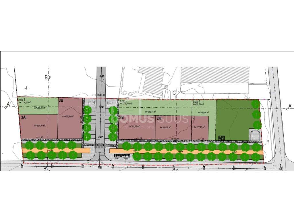 Terreno para loteamento de construção Habitacional - Grande imagem: 2/4