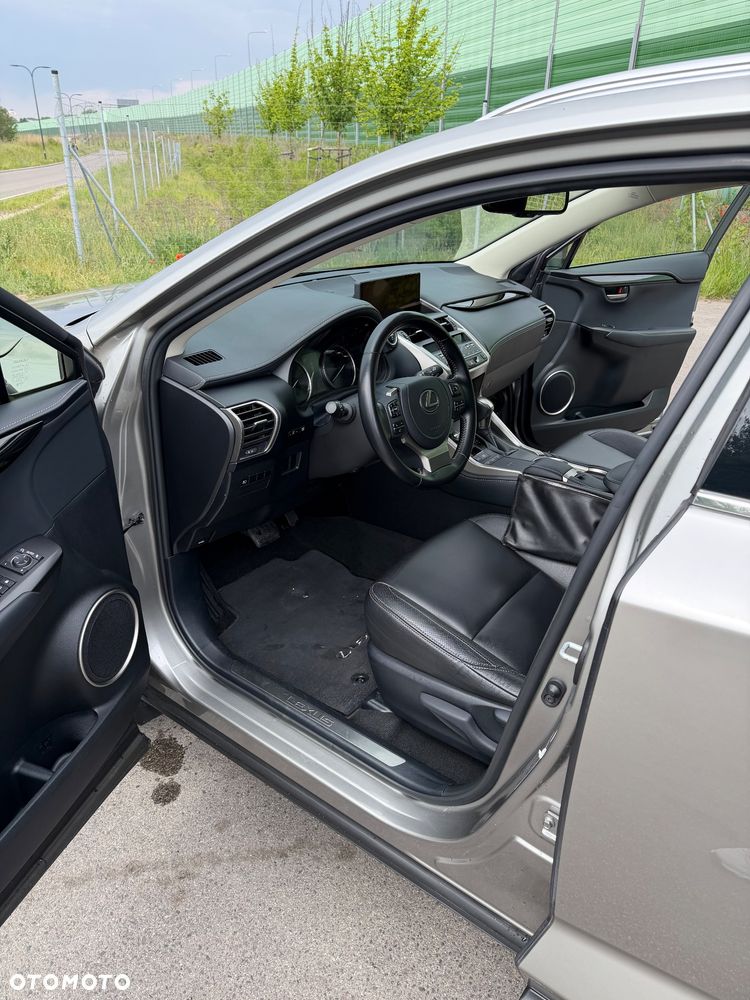 Lexus NX - 14