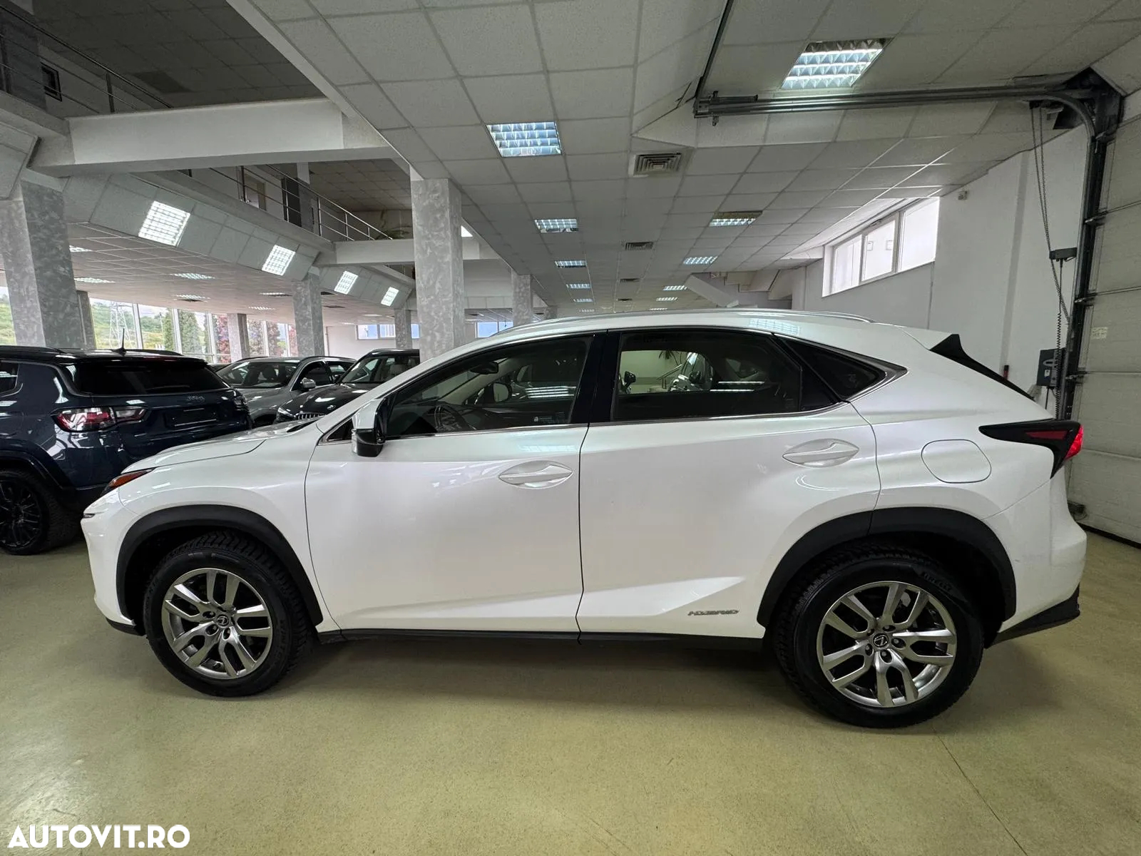 Lexus Seria NX 300h AWD Executive Plus - 8