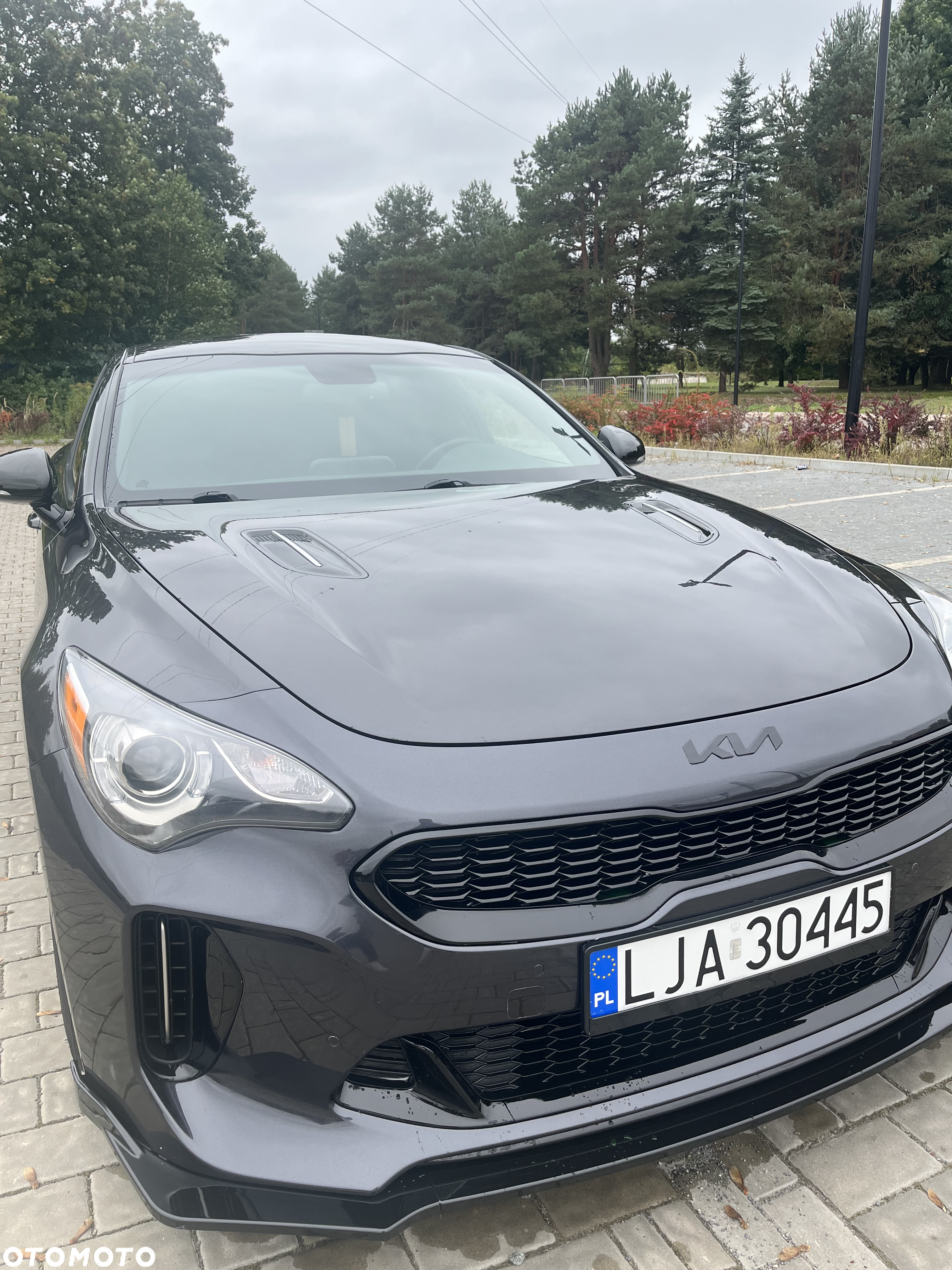 Kia Stinger 2.0 T-GDI GT Line - 17
