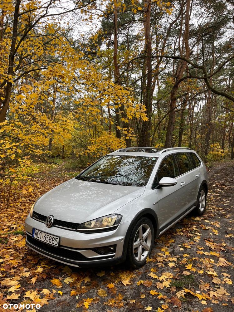 Volkswagen Golf Alltrack - 1