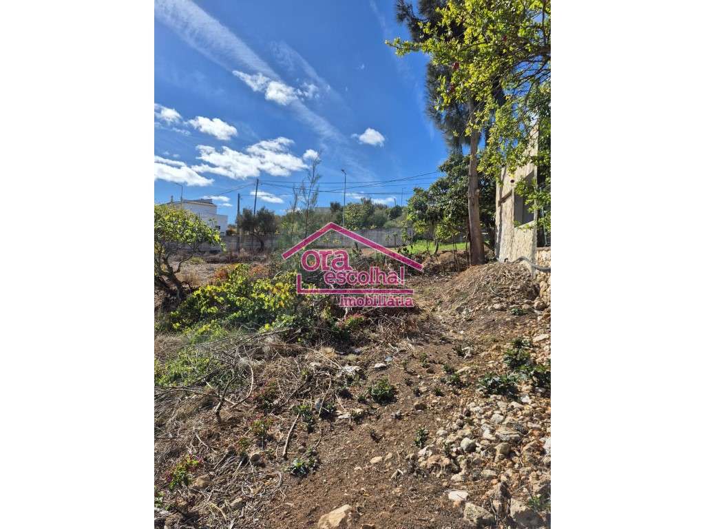 Terreno rústico com 3240 m2 para venda no largo da Caldeiroa no Sag... - Grande imagem: 2/7