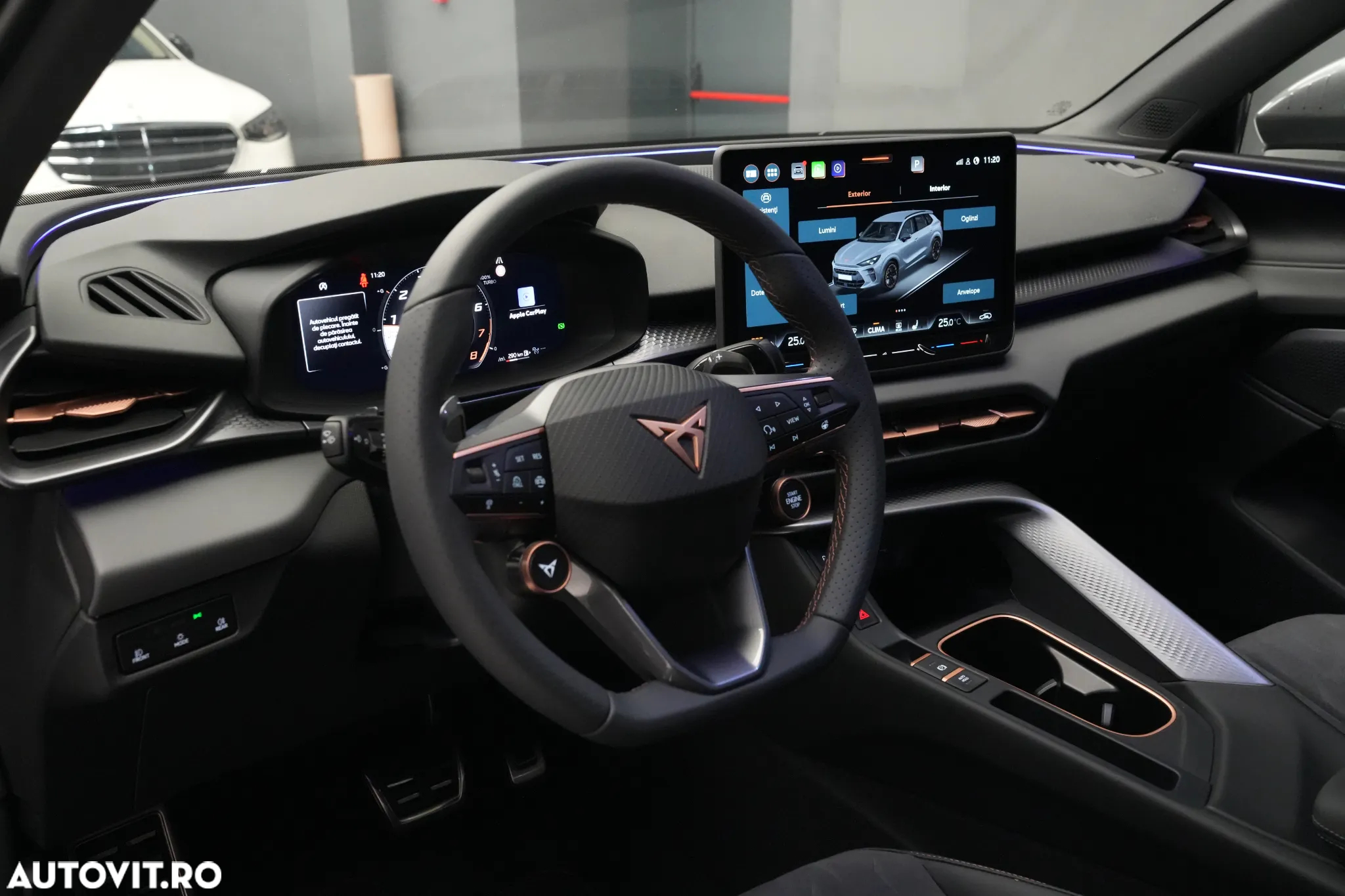 Cupra Terramar - 15