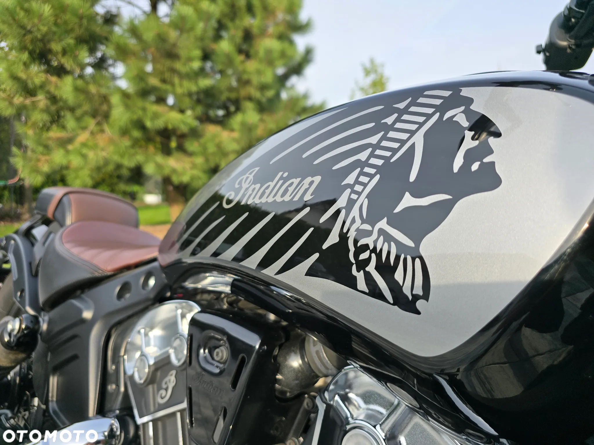 Indian Scout - 7