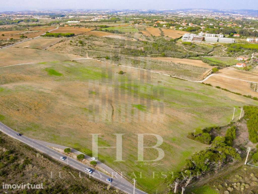 Terreno com 158.000m2 |Sintra - Grande imagem: 3/18