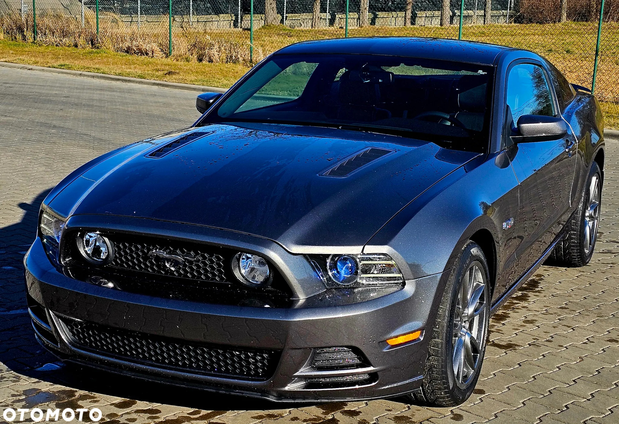 Ford Mustang 5.0 Ti-VCT V8 GT - 3