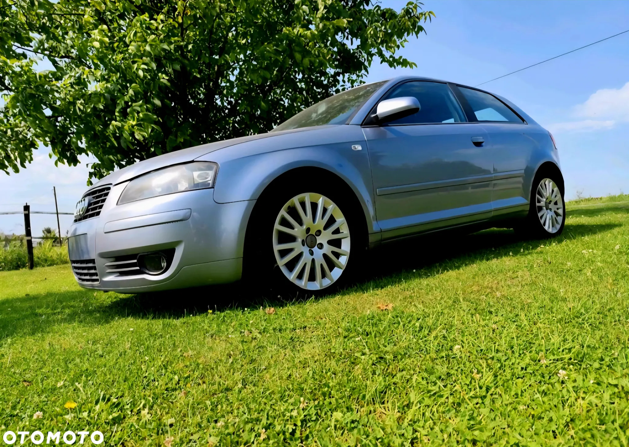 Audi A3 1.6 Ambiente - 6