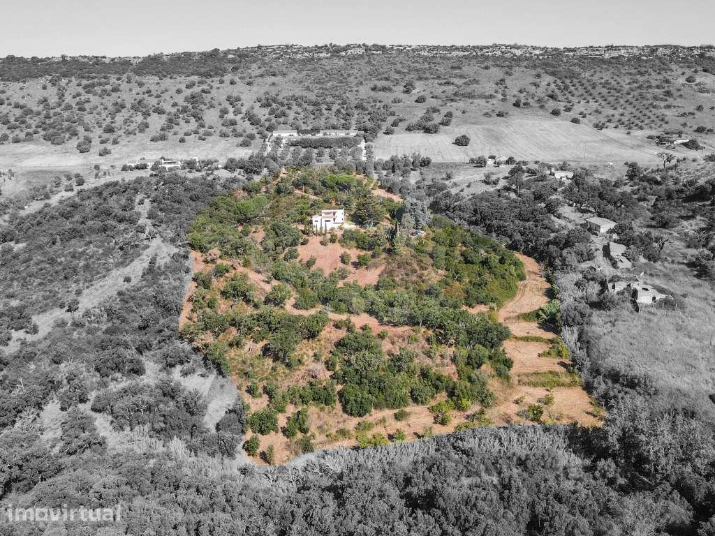 Quinta Parque Natural da Arrábida - Grande imagem: 2/24