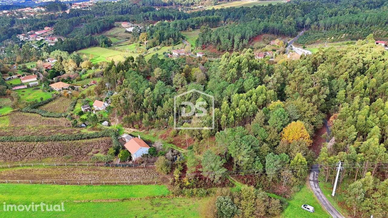 Terreno Rústico  Venda em Agilde,Celorico de Basto - Grande imagem: 5/18