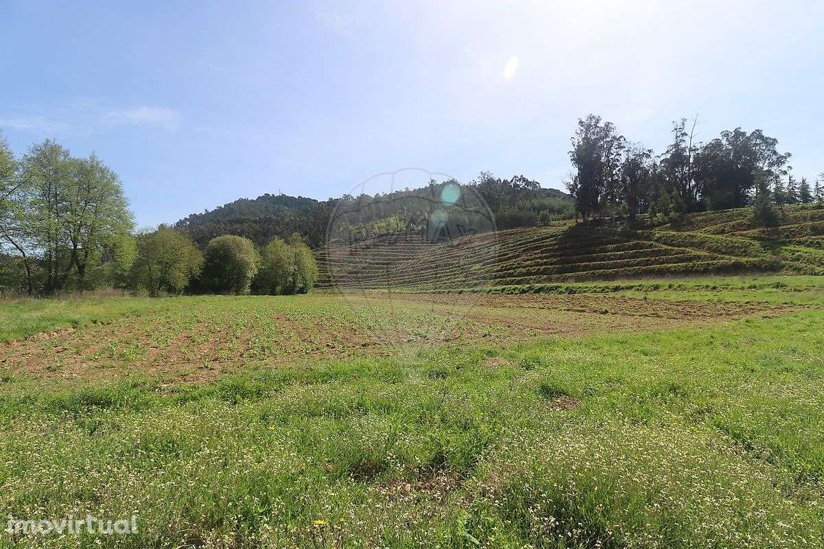 Quinta T2 para venda - Grande imagem: 4/26