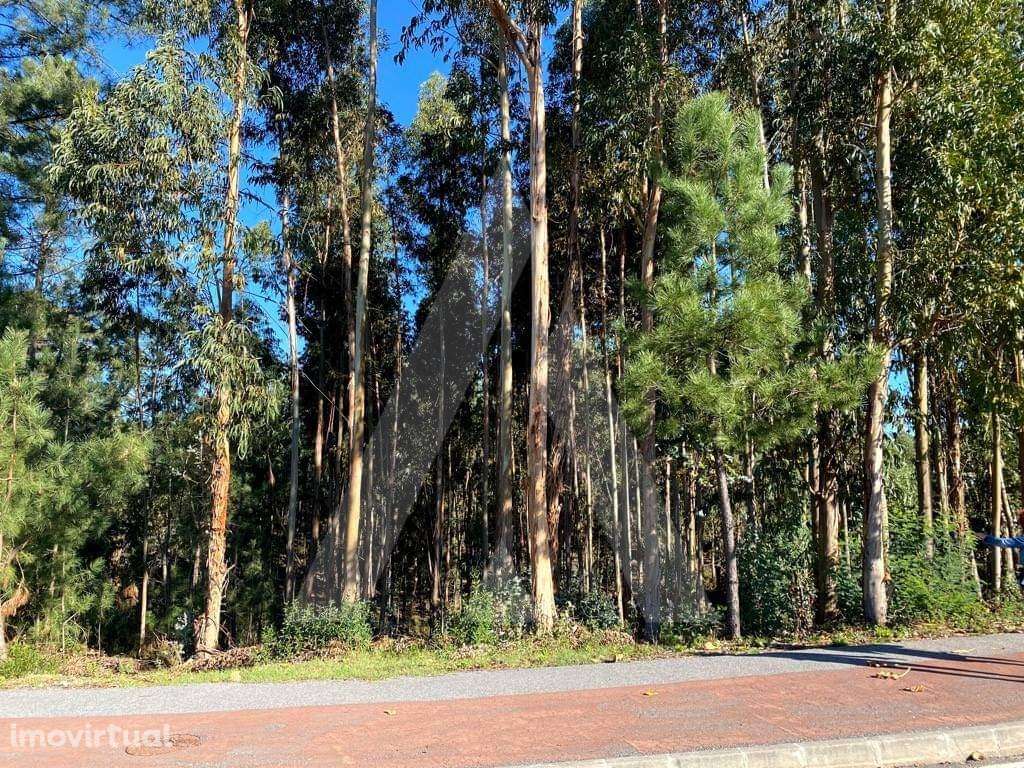 Terreno para construção no Centro de Anadia - Grande imagem: 3/12