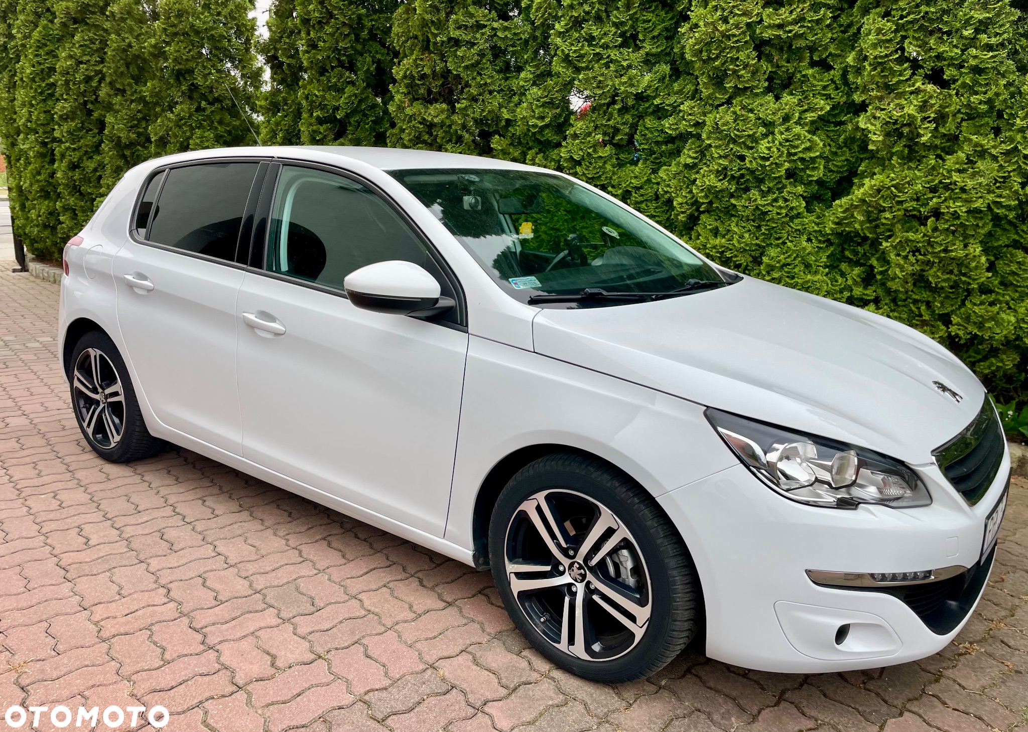 Peugeot 308 SW 1.6 BlueHDi Active S&S - 2