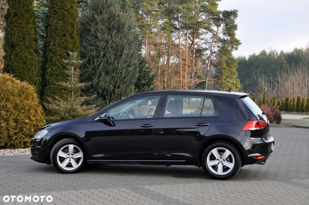Volkswagen Golf - 13