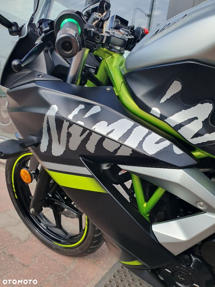 Kawasaki Ninja - 14