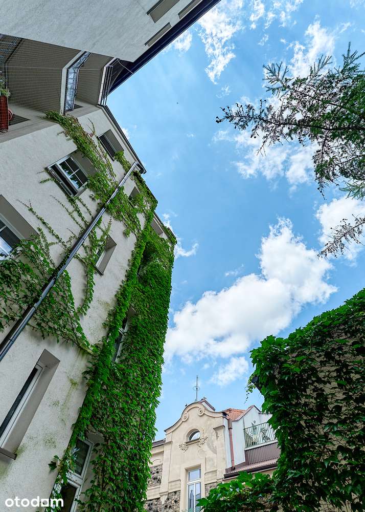 Kawalerka Centrum blisko Błoni