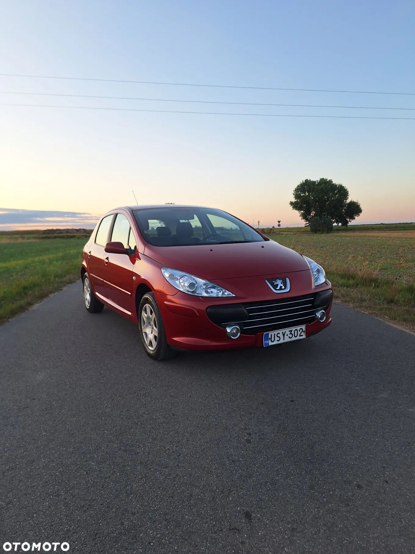 Peugeot 307 110 Premium - 1