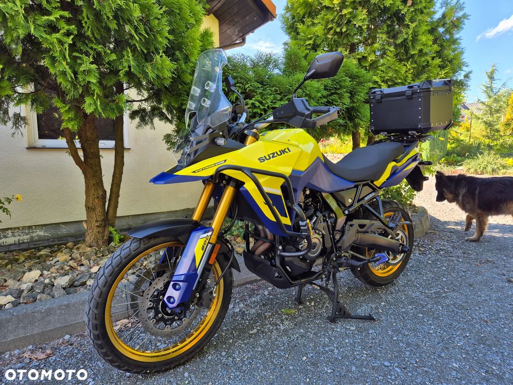 Suzuki DL - 3