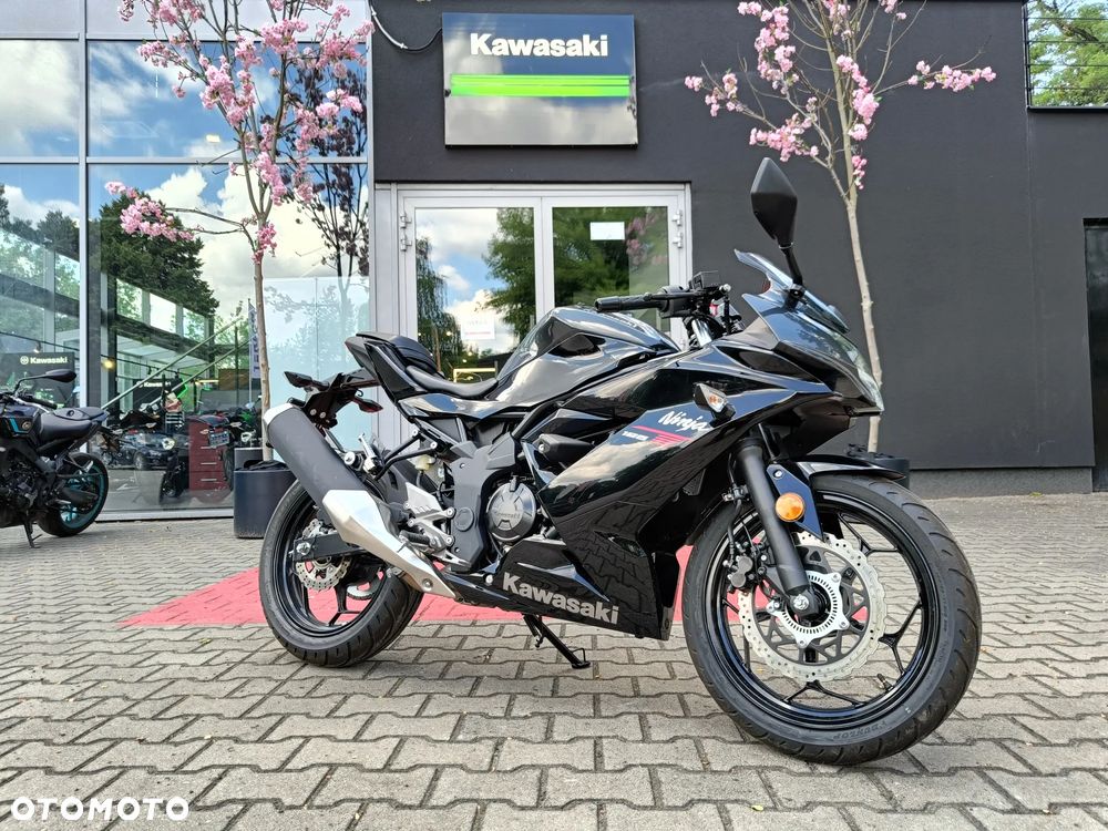 Kawasaki Ninja - 1