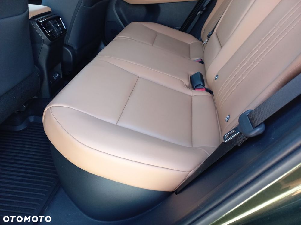 Lexus NX - 10