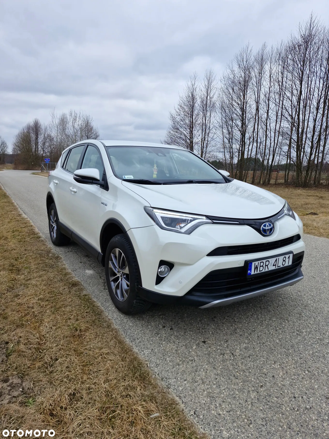 Toyota RAV4 - 4