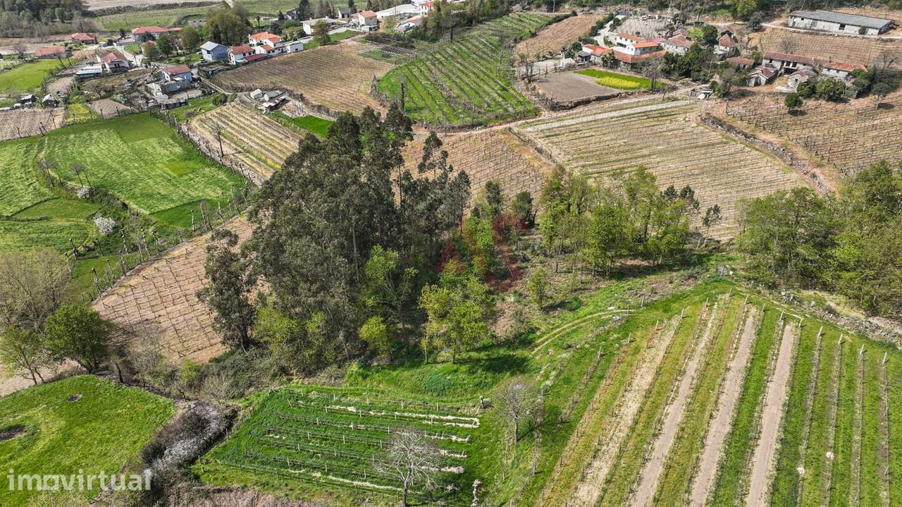 Terreno com 3.300 m² em Pedreira, Rande e Sernande, Felgueiras - Grande imagem: 5/13