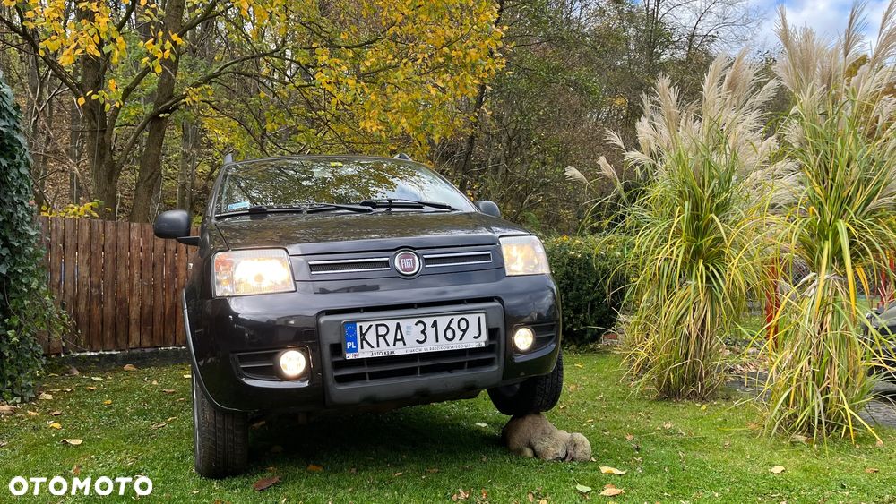 Fiat Panda 1.2 4x4 Climbing - 1