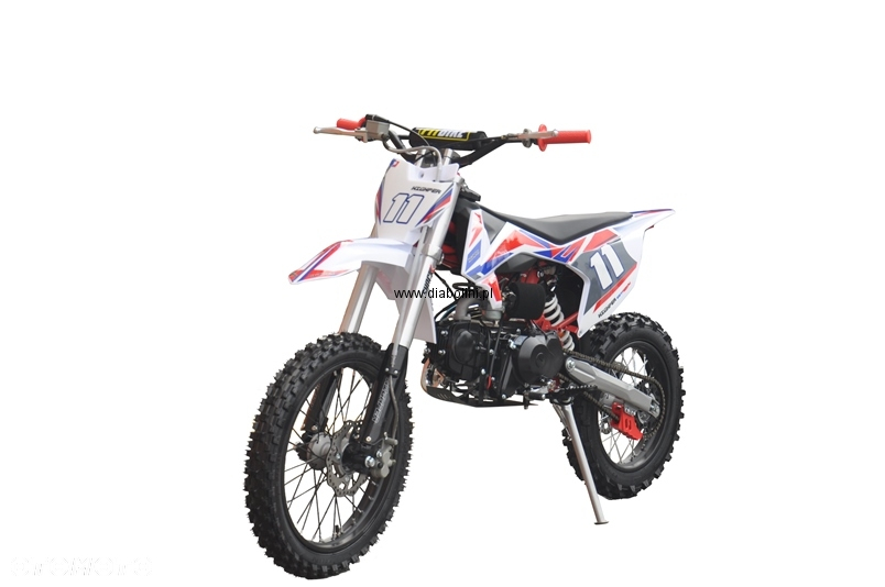 Diabolini Inny - 12