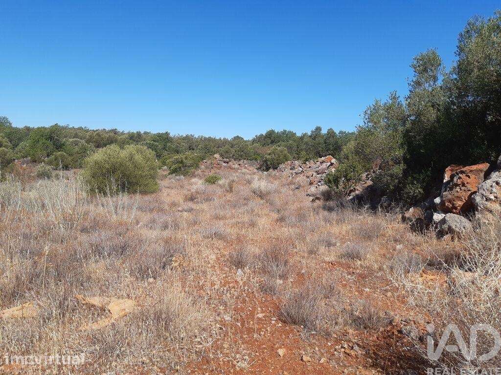 Terreno Agrícola em Alte - Grande imagem: 5/5