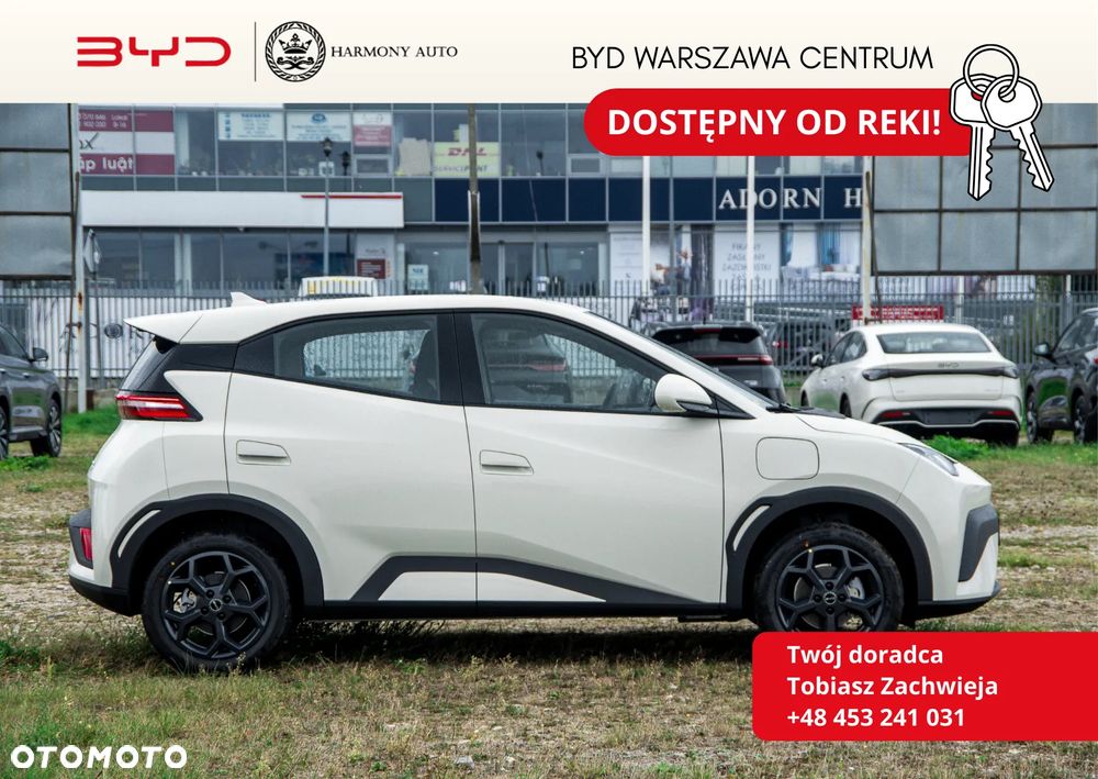 BYD Dolphin Surf - 6