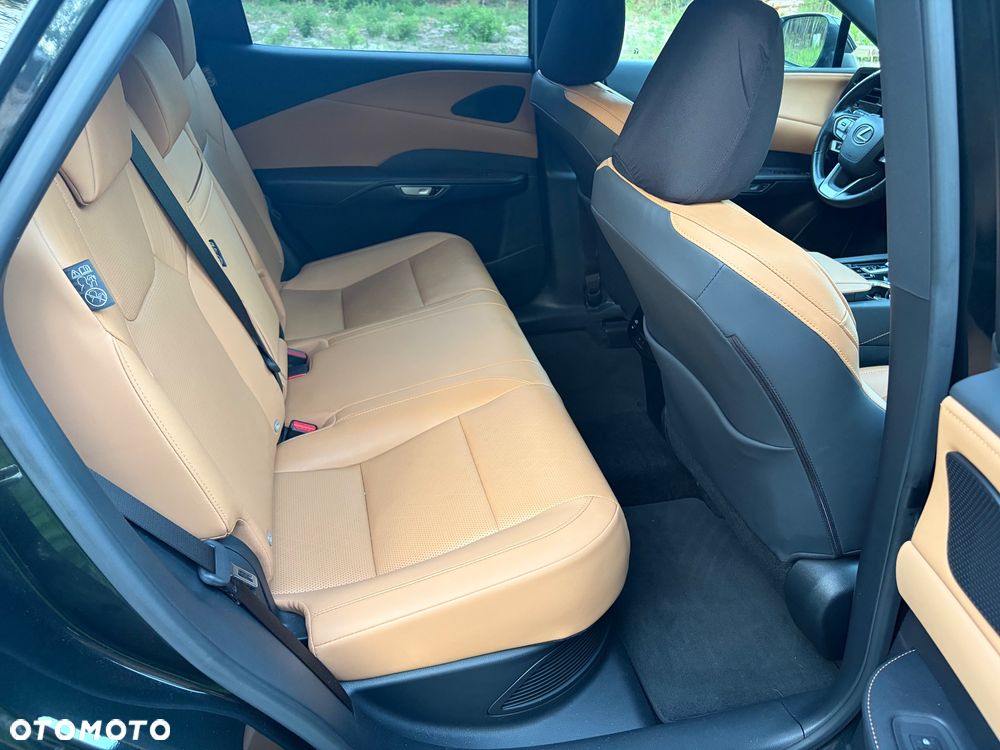 Lexus RX 350h F Sport Design - 15