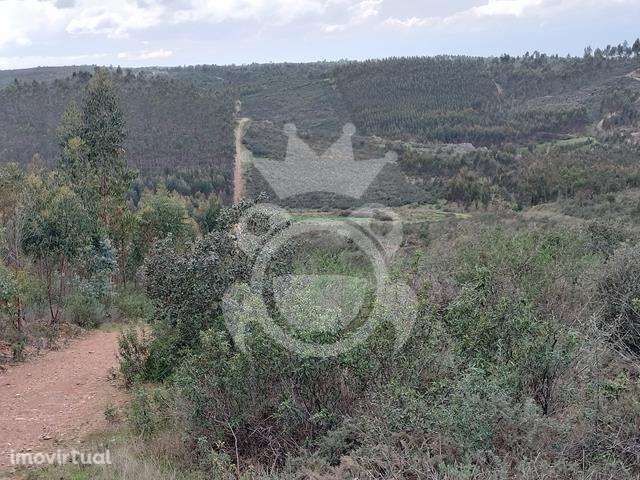 Terreno Rústico para venda - Grande imagem: 3/10