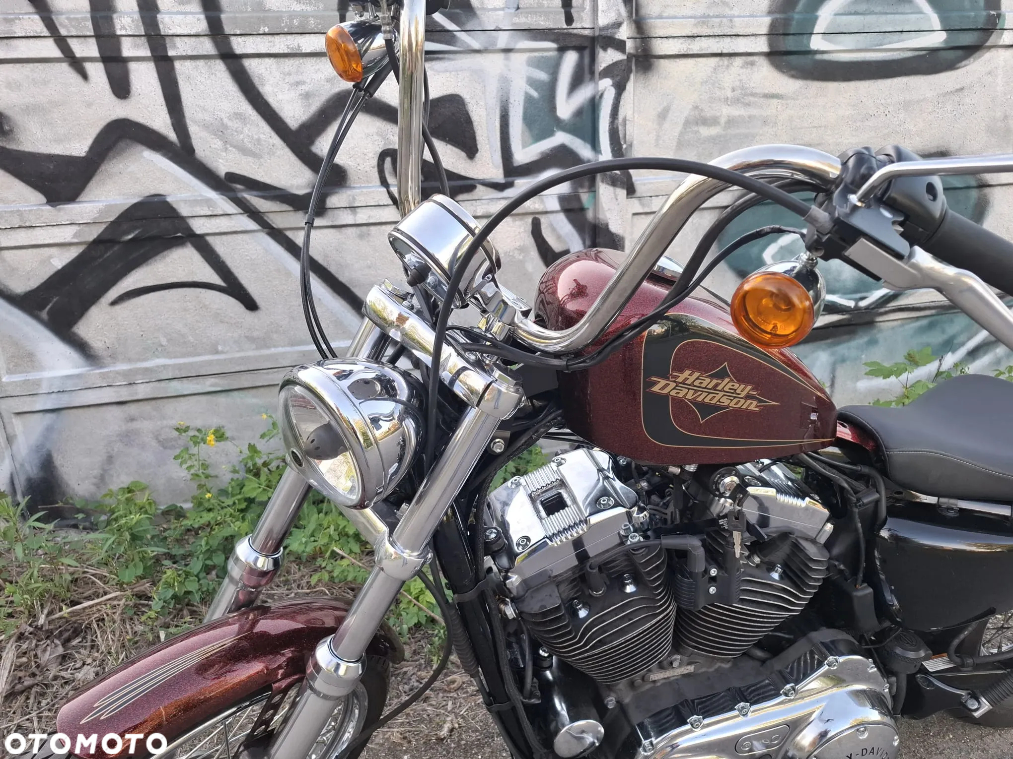 Harley-Davidson Sportster Seventy-Two - 16