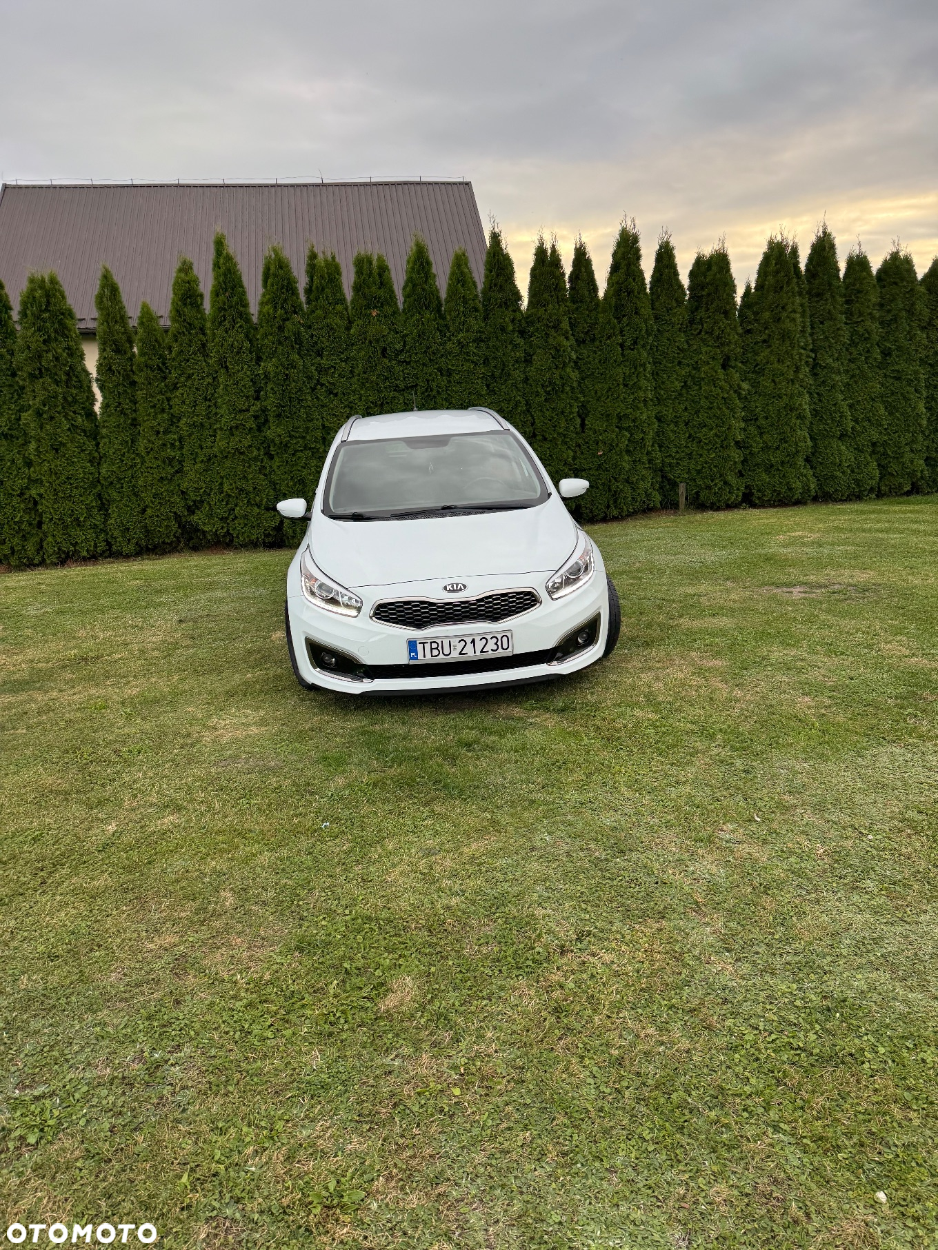 Kia Ceed - 4