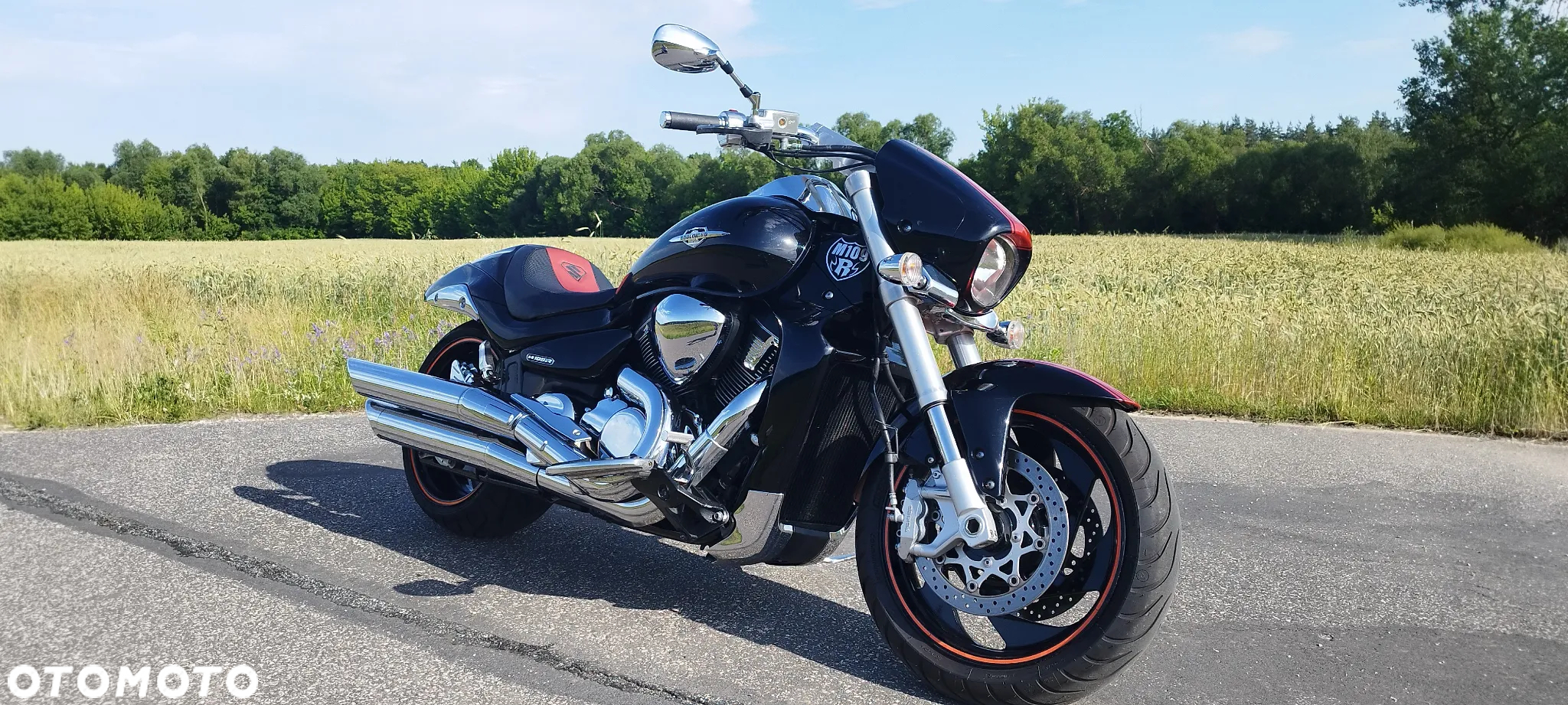 Suzuki Intruder - 10