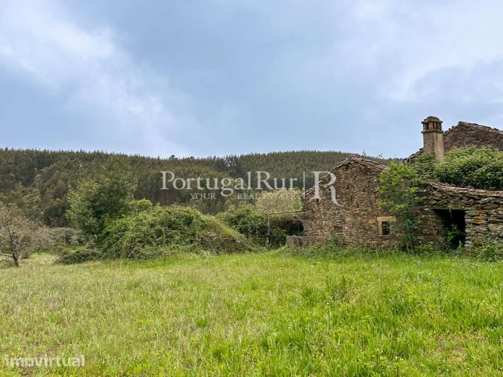 Quintinha de 5 Hectares em Enxames - Grande imagem: 4/45