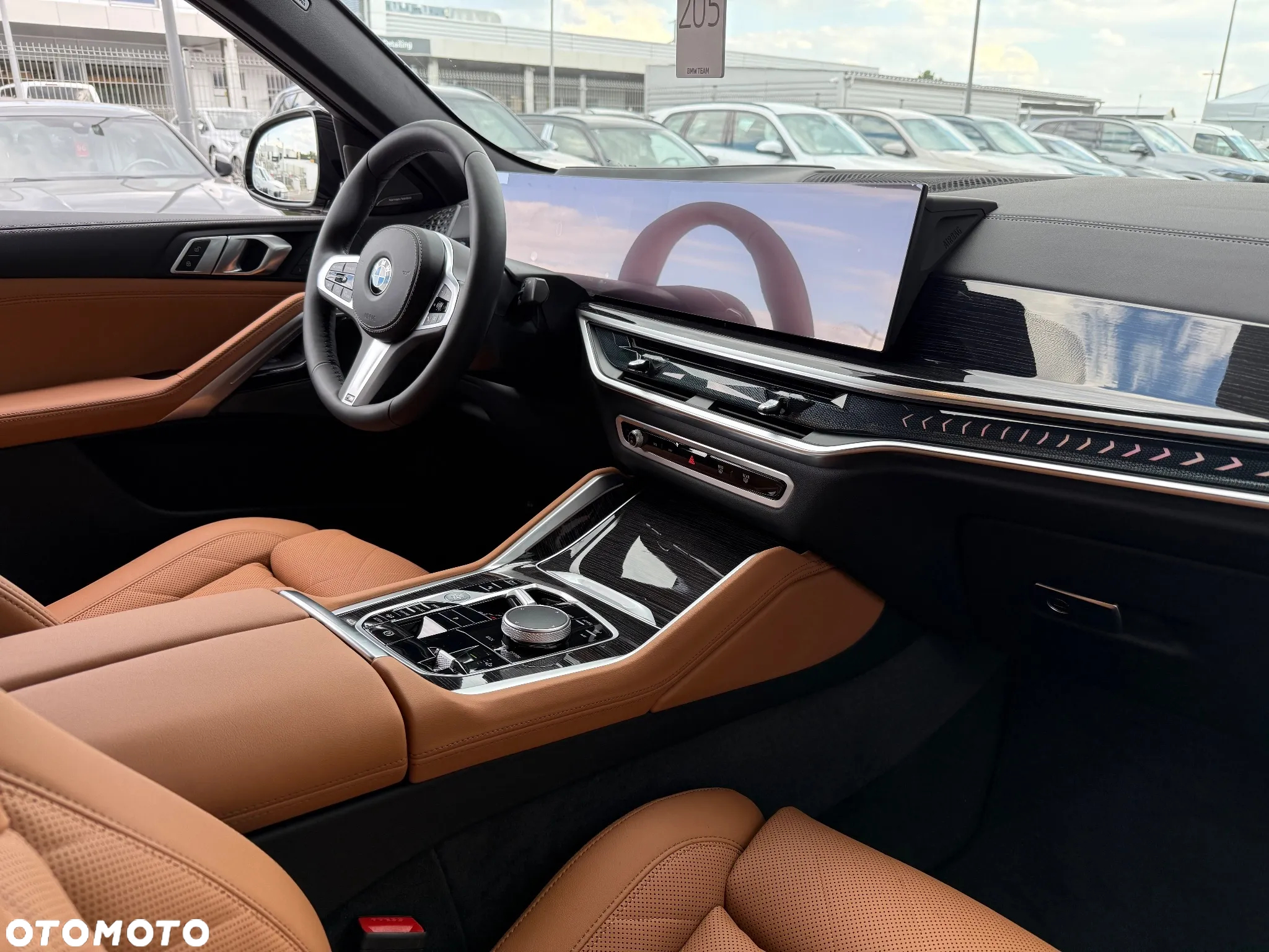 BMW X6 xDrive40i - 21