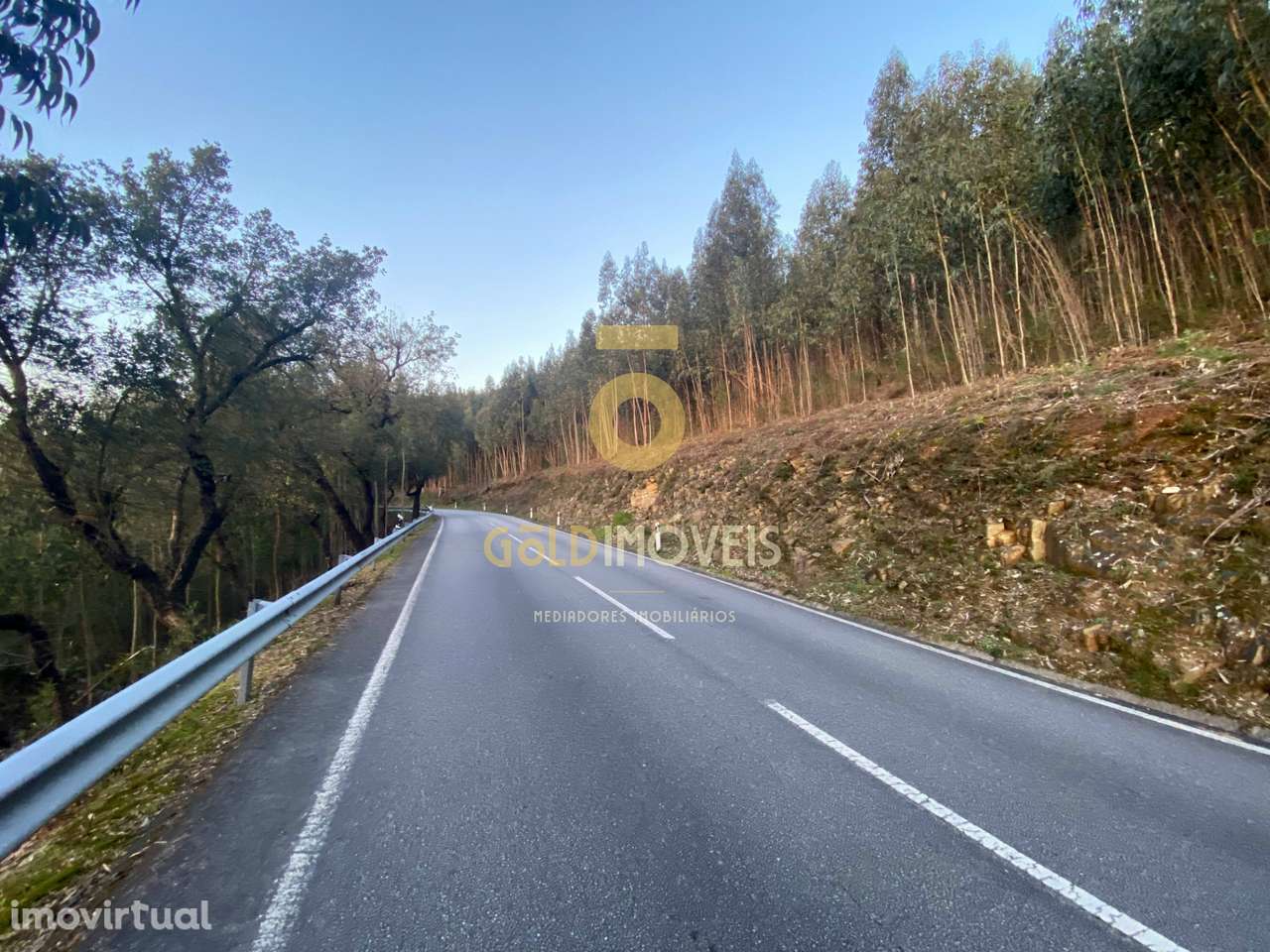 Terreno Florestal - Grande imagem: 3/7