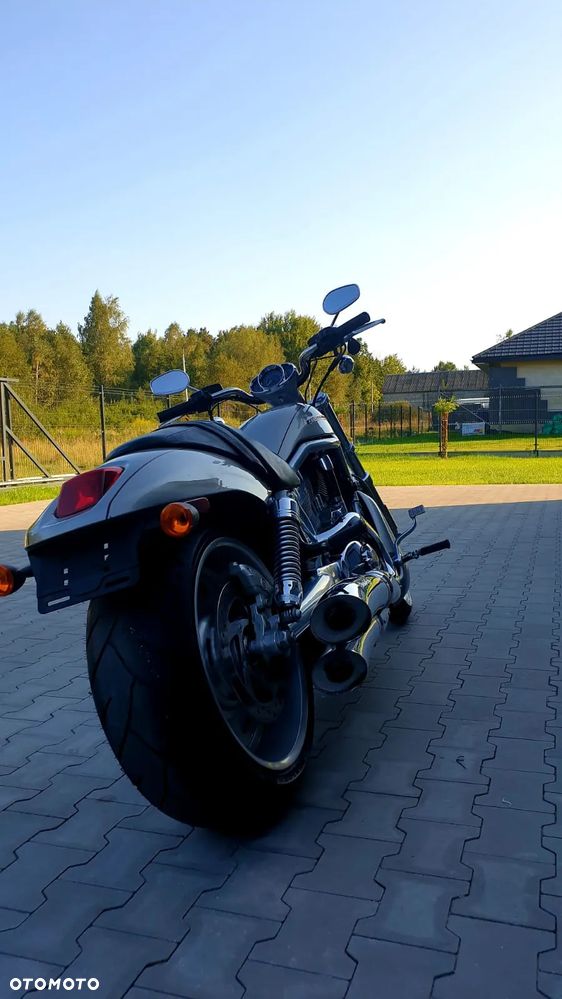 Harley-Davidson Softail V-Rod - 11