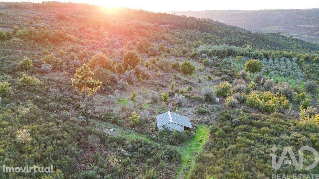 Terreno Agrícola em Paranhos - Grande imagem: 3/24