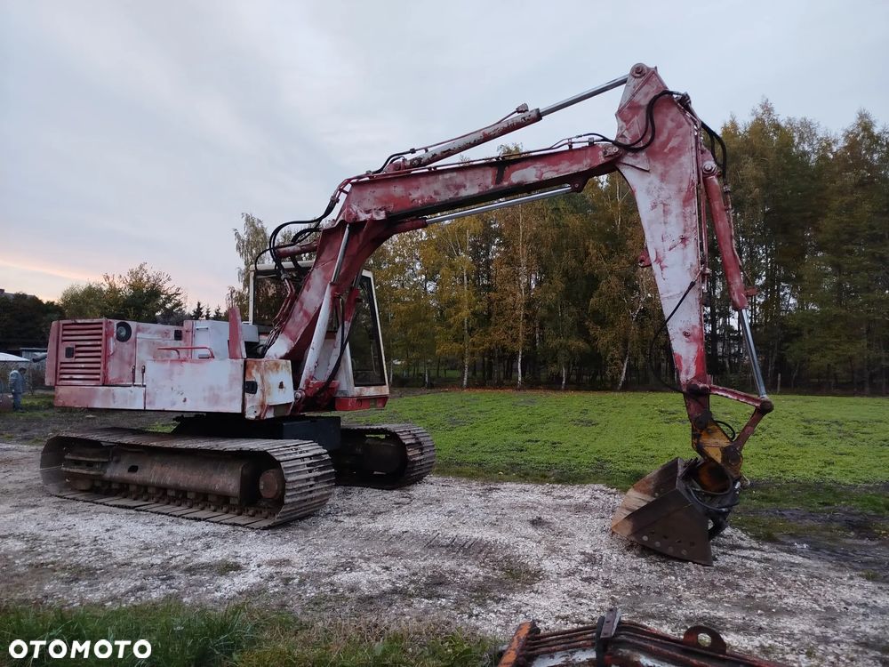 Case 61 błotniak - 1