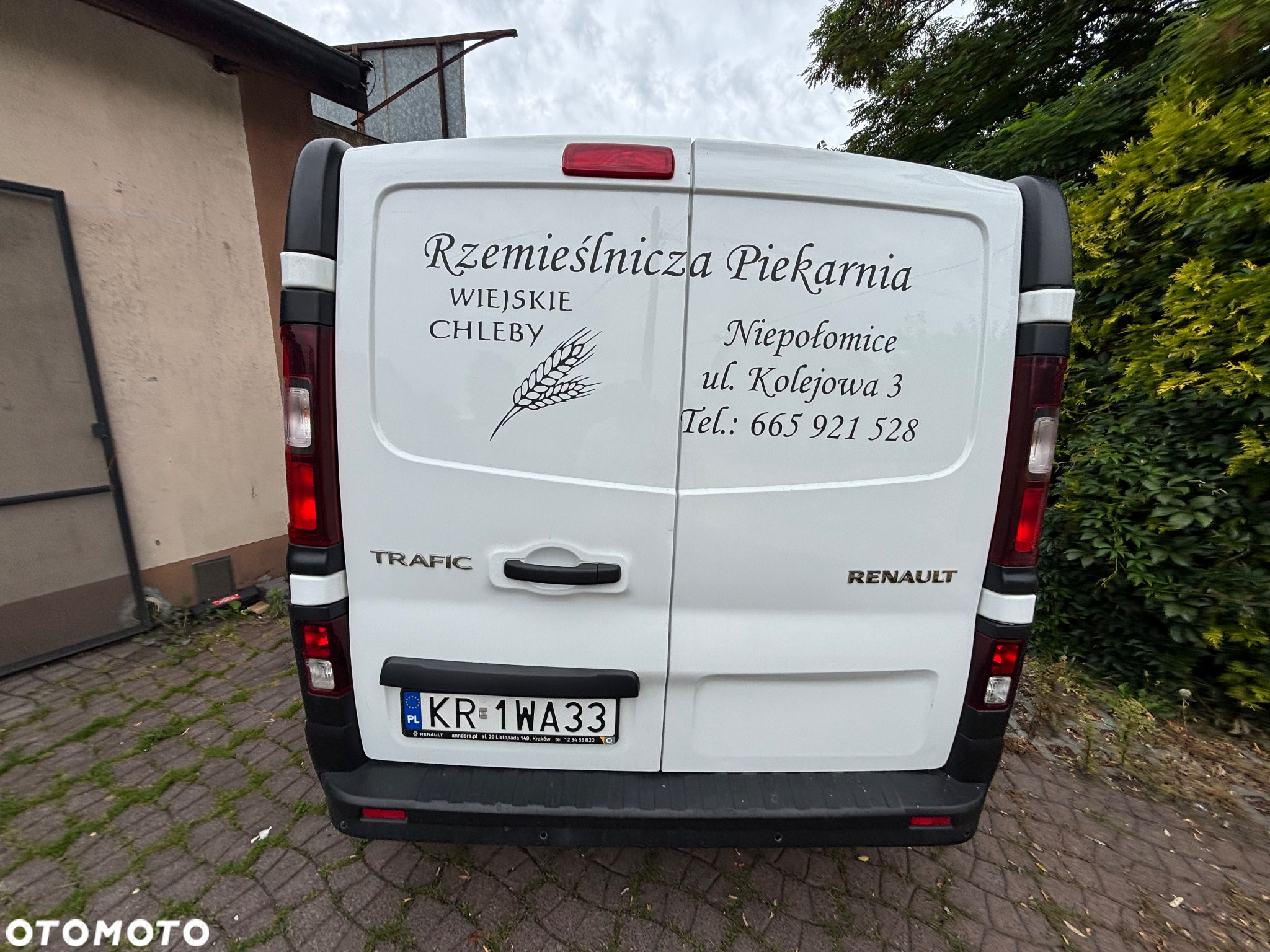 Renault Trafic - 3