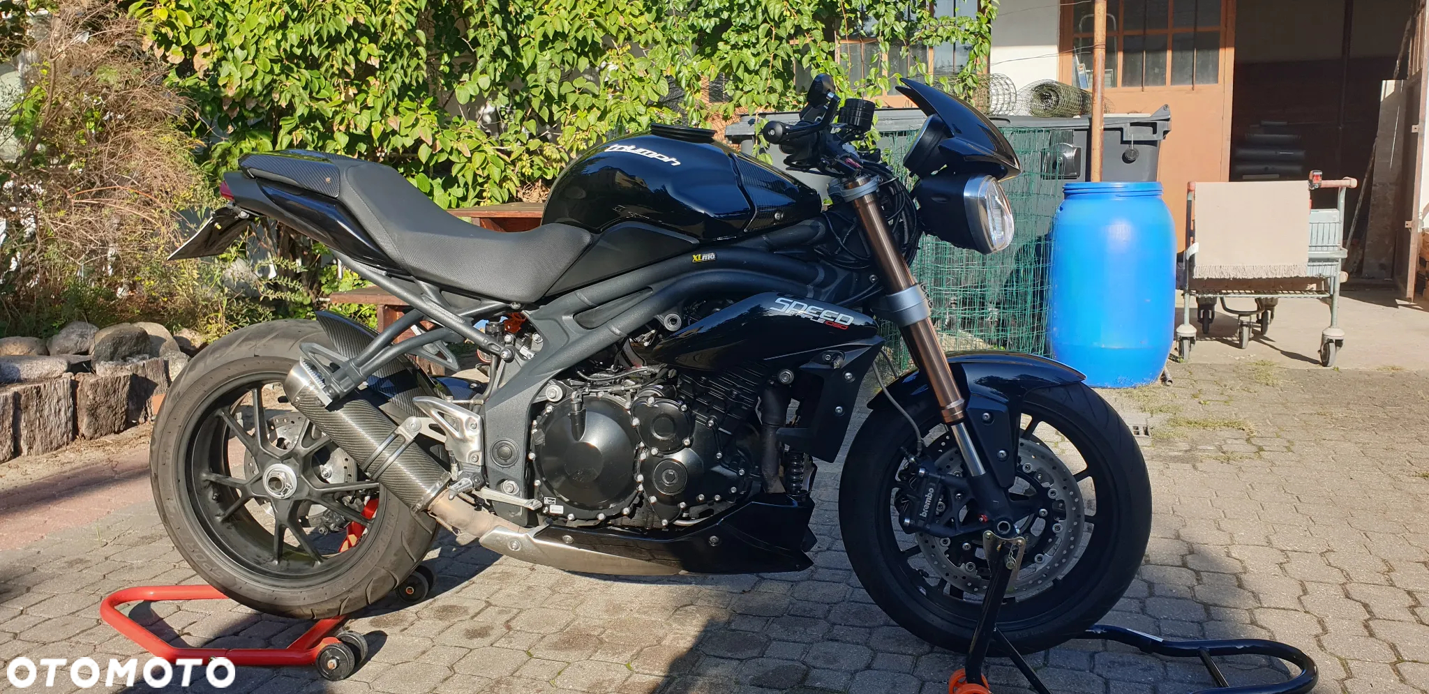 Triumph Speed Triple - 10