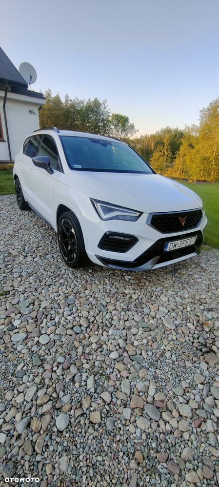 Cupra Ateca - 23