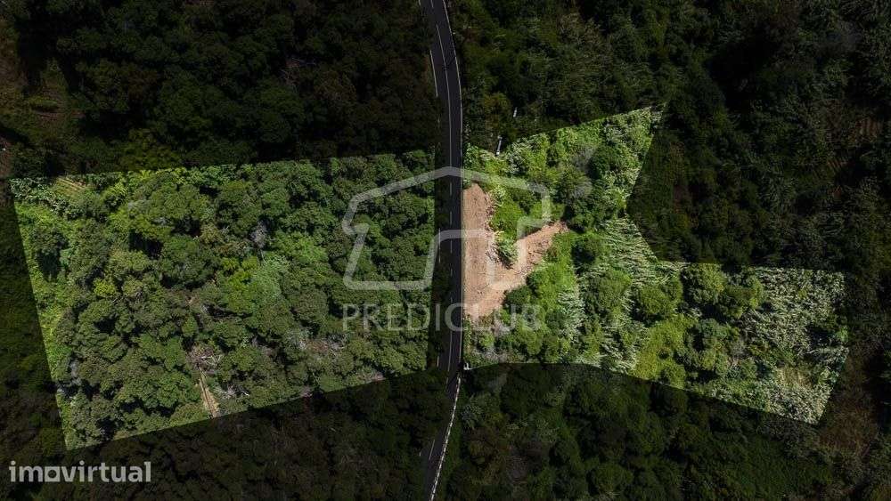 Terreno 5120 m2 - Porto da Cruz - Grande imagem: 2/10