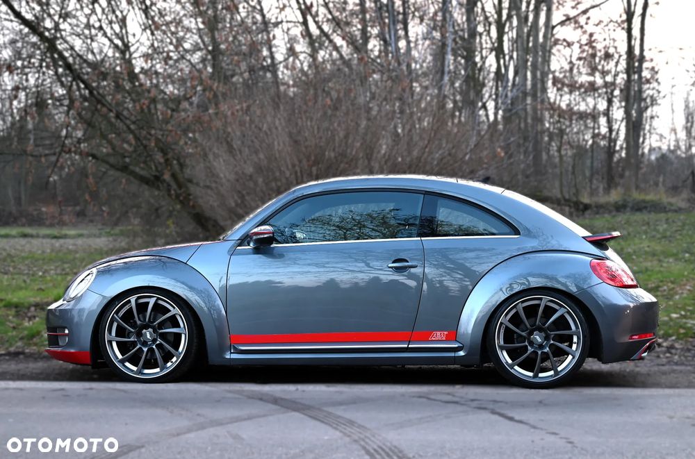 Volkswagen Beetle - 16