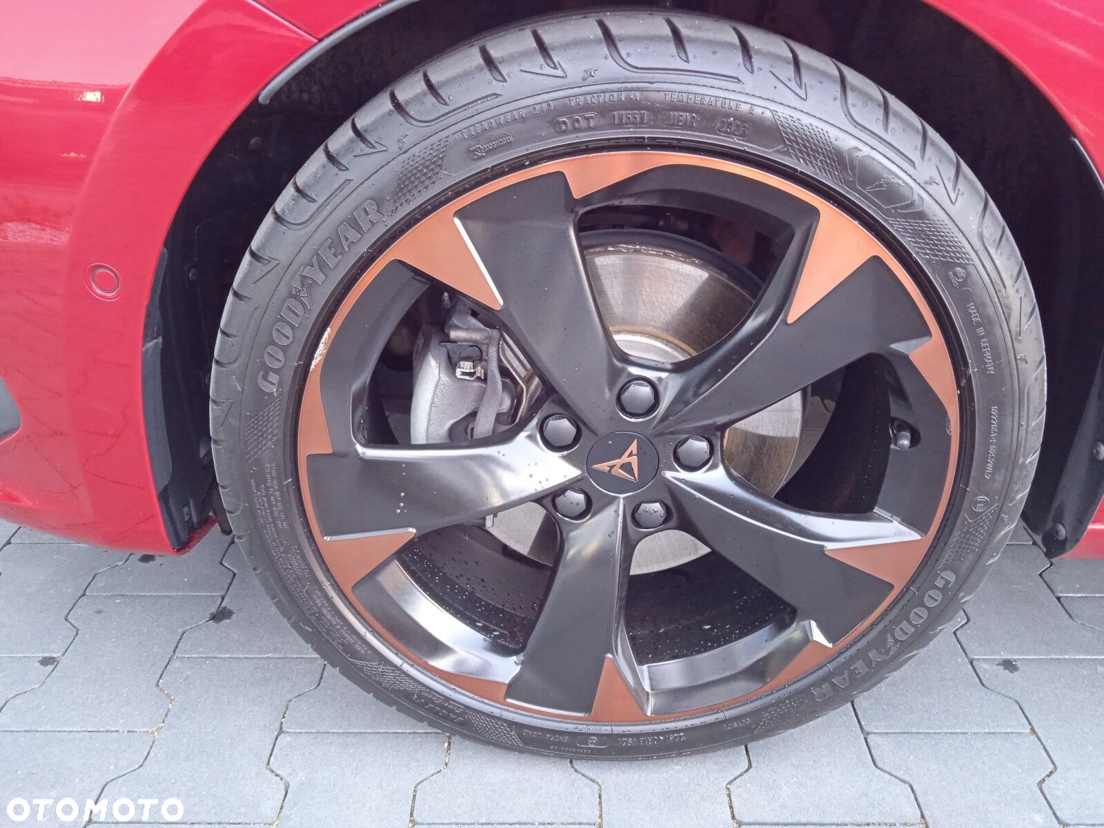 Cupra Leon Sportstourer - 20