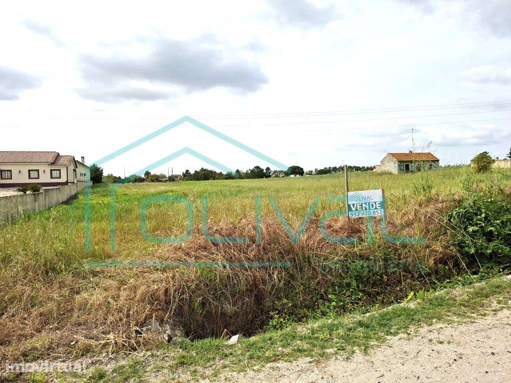 Lote de Terreno 7200m - Foros de Salvaterra - Grande imagem: 2/3