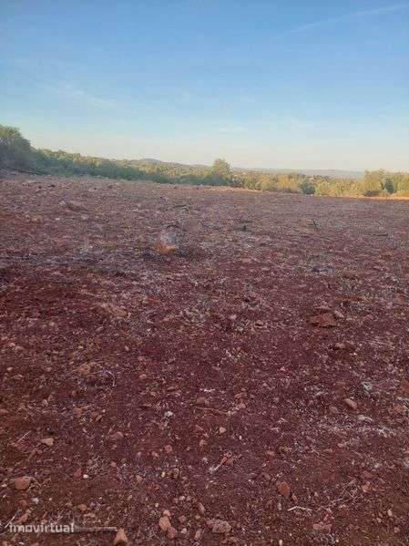Terreno 40.000 m² ideal para projecto  fotovoltaico