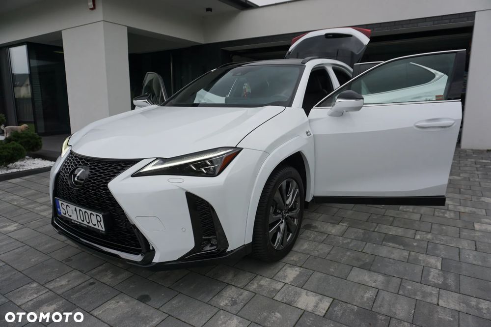 Lexus UX 250h GPF F Sport 2WD - 9